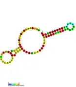 isrJ Hfq binding RNA:  Predicted secondary structure taken from the Rfam database. Family RF01393.