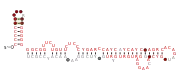 Flavi_TBFV_CRE Secondary structure taken from the Rfam database. Family RF03538