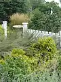 The Sunny Side Yard in the Home Demonstration Gardens.