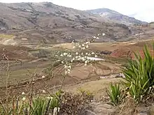 Landscape between Ambalavao & Talata Ampano