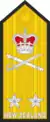 Rear admiral(Royal New Zealand Navy)