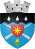 Coat of arms of Darabani