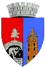 Coat of arms of Baia Mare