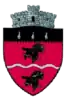 Coat of arms of Cârlibaba