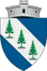 Coat of arms of Dorna-Arini