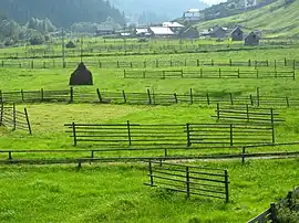 Meadows near Panaci