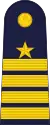 A RTAF group captain's rank insignia