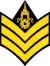 Sergeant