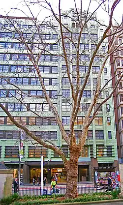 Railway House, York Street, Sydney