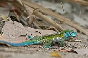 Tayrona National Natural Park, Colombia