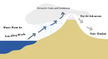 Simplified example of the rain shadow effect