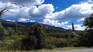 Green vegetation in Rajca with Baba mountains in background