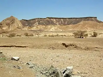 Ramon Monocline on the southern side of Makhtesh Ramon