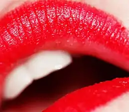 Red lipstick has been worn by women as a cosmetic since ancient times. It was worn by Cleopatra, Queen Elizabeth I, and film stars such as Elizabeth Taylor and Marilyn Monroe.