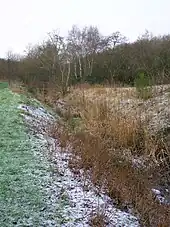 The site of the Drukken Steps and the canalised Red Burn.