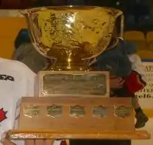 Trophy with a gold coloured bowl on a two-tiered wooden base