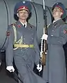 An officer and enlisted honour guard of the Republican Guard at Almaty International Airport.