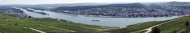 View from the Niederwald-Monument into the Rheingau