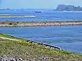 Rhine with groynes near Tolkamer