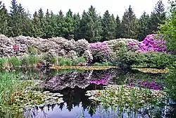 Nature near Schipborg