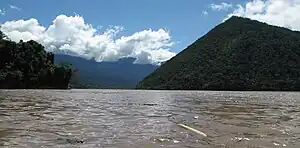 View of the Tambo River near Puerto Prado