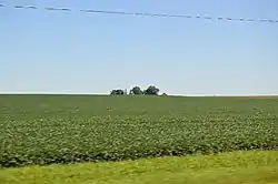 Fields on Illinois Routes 116/117