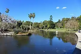 The main ponds in winter