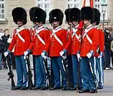 Royal Guards on Queen Margrethe II's Birthday, 16 April 2009.