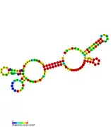 RsaH:  Secondary structure of RsaH. Rfam family RF01821