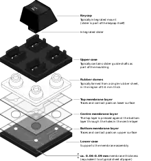 Exploded view of a typical dome-switch keyboard mechanism