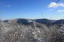 A snow-covered forested mountain with brushy snow-covered vegetation in the foreground under a blue sky with streaky clouds