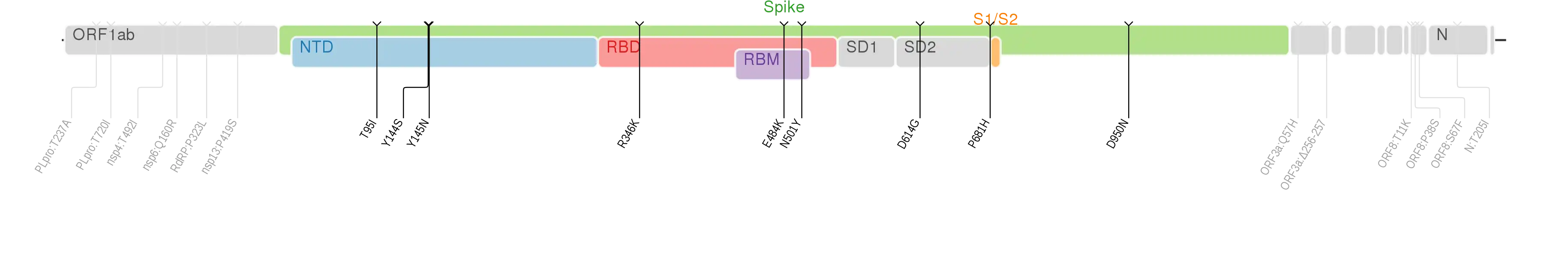 Amino acid mutations of SARS-CoV-2 Mu variant plotted on a genome map of SARS-CoV-2 with a focus on the spike.