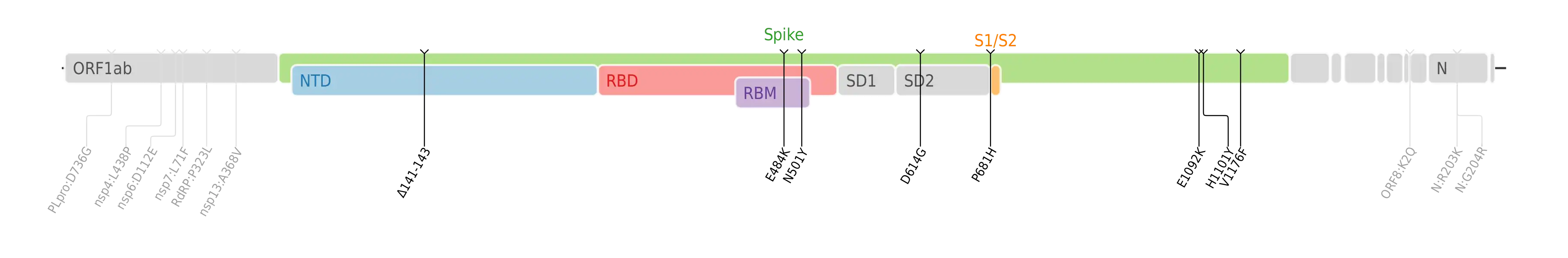 Amino acid mutations of SARS-CoV-2 Theta variant plotted on a genome map of SARS-CoV-2 with a focus on the spike.