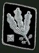 Gorget patchuntil April 1942(Allgemeine SS and Waffen-SS)