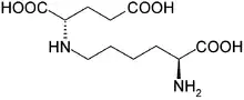 Stereo, skeletal formula of saccharopine ((2S)-2-{[(5S)-5-aminopentyl]amino})