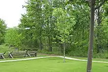 Entrance to the Sacred Grove as it appears today