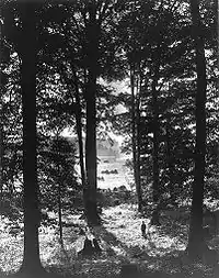 The Sacred Grove, where Joseph Smith experienced his first theophany, in 1907.