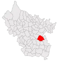 Location in Buzău County