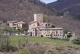 A general view of Saint-Roman-de-Codières