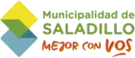 Official logo of Saladillo