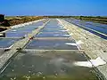 Salt fields in Loix-en-Ré