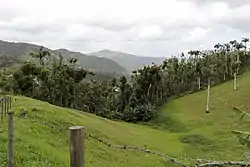 Hills and valley in San Lorenzo