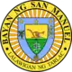 Official seal of San Manuel