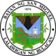 Official seal of San Miguel