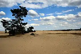 Hoge Veluwe National Park