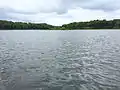 Looking towards the island on Saunders Lake