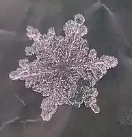 Snowflakes can turn into graupel