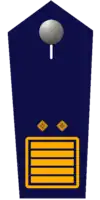 Landesfeuerwehrinspekteur/-in