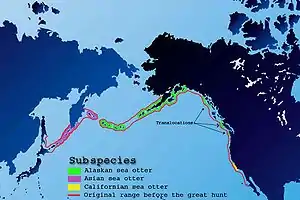 Alaskan sea otters inhabit most of the Aleutian Islands and the Pacific Northwest, Asian sea otters inhabit the islands around Kamchatka Peninsula and those that stretch between there and Japan (excluding in the Sea of Okhosk) and California sea otters inhabit the coast of southern California. Their former range follows the coast of southern California north, into the Aleutian Islands, without any gaps in between.