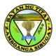 Official seal of Titay